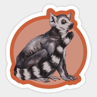 Ring-Tailed Lemur Sticker